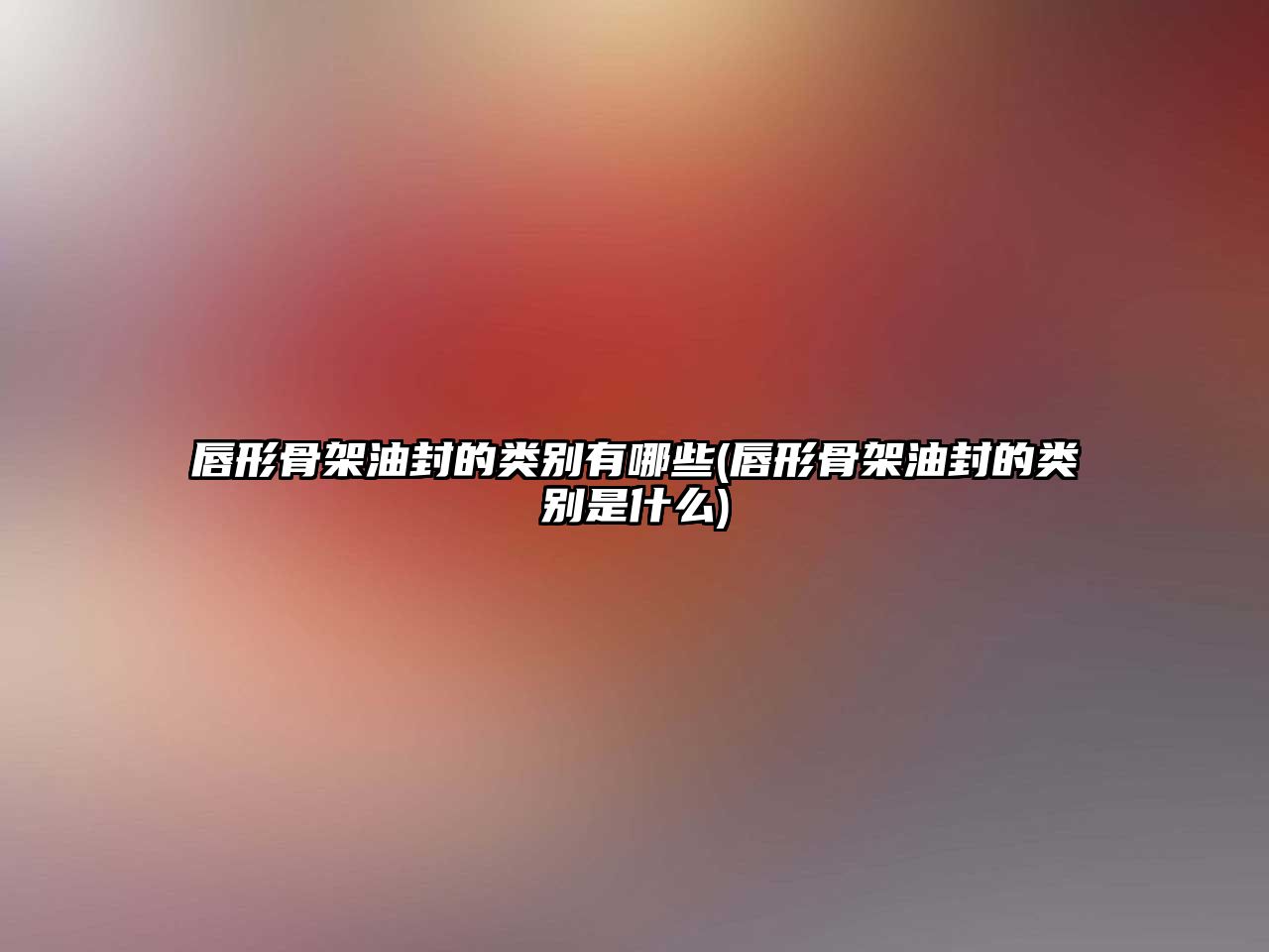 唇形骨架油封的類別有哪些(唇形骨架油封的類別是什么)