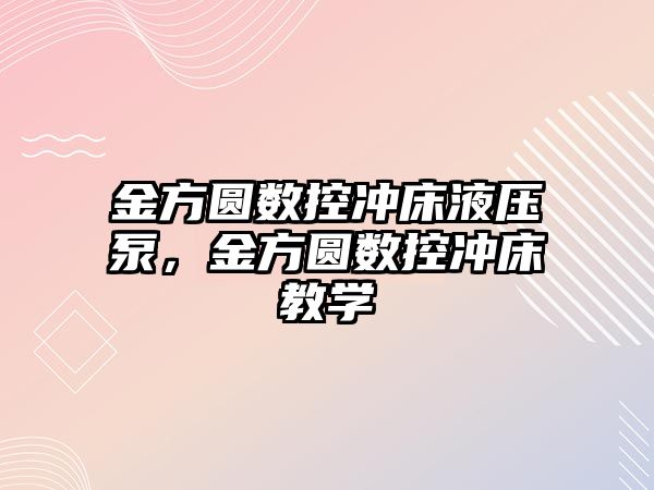 金方圓數(shù)控沖床液壓泵，金方圓數(shù)控沖床教學