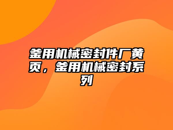 釜用機械密封件廠黃頁，釜用機械密封系列