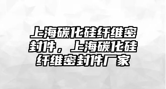 上海碳化硅纖維密封件，上海碳化硅纖維密封件廠家