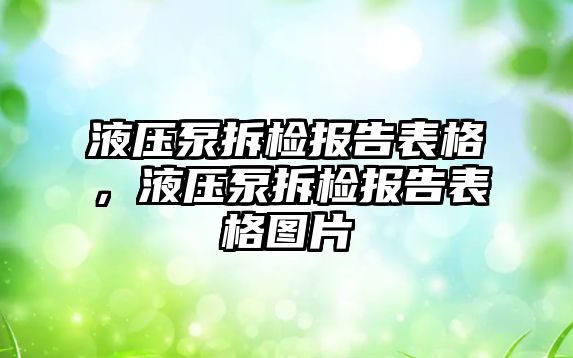 液壓泵拆檢報告表格，液壓泵拆檢報告表格圖片