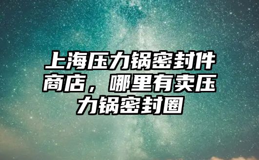 上海壓力鍋密封件商店，哪里有賣壓力鍋密封圈