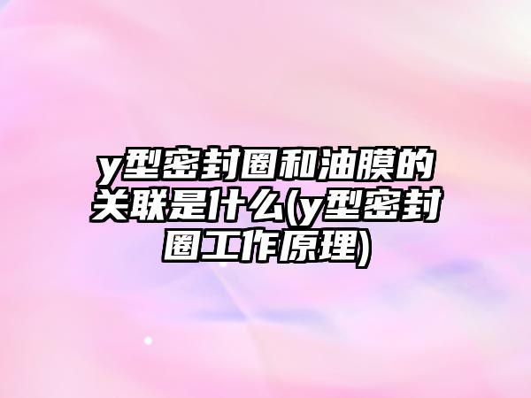 y型密封圈和油膜的關(guān)聯(lián)是什么(y型密封圈工作原理)