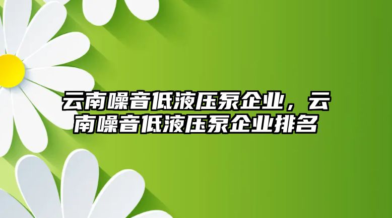 云南噪音低液壓泵企業(yè)，云南噪音低液壓泵企業(yè)排名