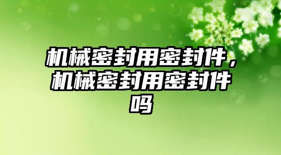 機(jī)械密封用密封件，機(jī)械密封用密封件嗎