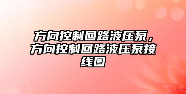 方向控制回路液壓泵，方向控制回路液壓泵接線圖