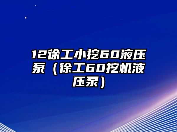 12徐工小挖60液壓泵（徐工60挖機(jī)液壓泵）