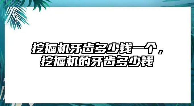 挖掘機(jī)牙齒多少錢一個(gè)，挖掘機(jī)的牙齒多少錢