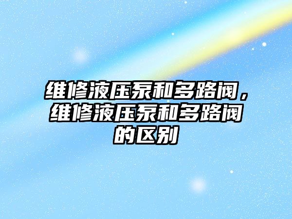 維修液壓泵和多路閥，維修液壓泵和多路閥的區(qū)別