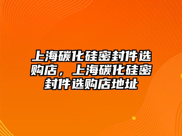 上海碳化硅密封件選購店，上海碳化硅密封件選購店地址