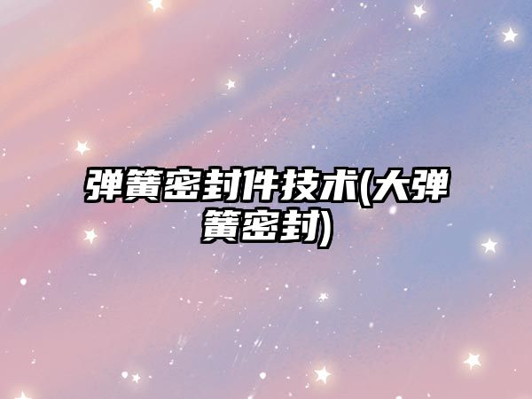 彈簧密封件技術(shù)(大彈簧密封)