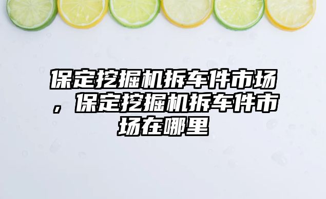 保定挖掘機(jī)拆車件市場，保定挖掘機(jī)拆車件市場在哪里