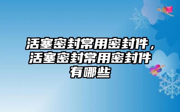 活塞密封常用密封件，活塞密封常用密封件有哪些