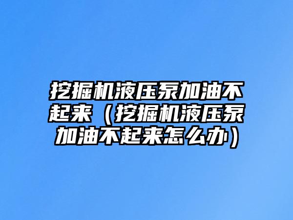 挖掘機(jī)液壓泵加油不起來（挖掘機(jī)液壓泵加油不起來怎么辦）