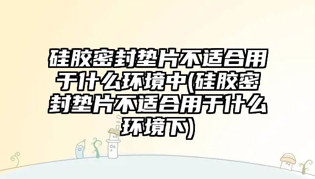 硅膠密封墊片不適合用于什么環(huán)境中(硅膠密封墊片不適合用于什么環(huán)境下)