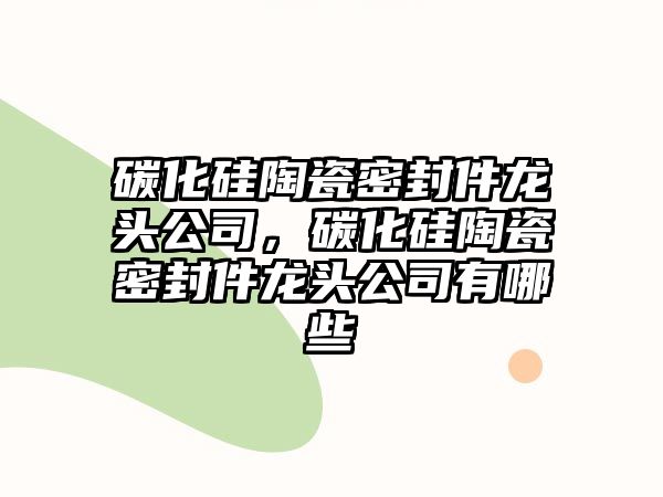 碳化硅陶瓷密封件龍頭公司，碳化硅陶瓷密封件龍頭公司有哪些