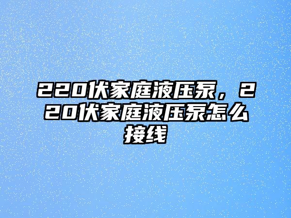 220伏家庭液壓泵，220伏家庭液壓泵怎么接線