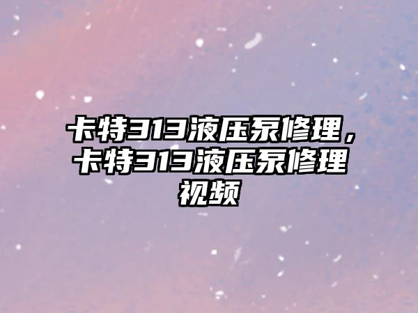 卡特313液壓泵修理，卡特313液壓泵修理視頻