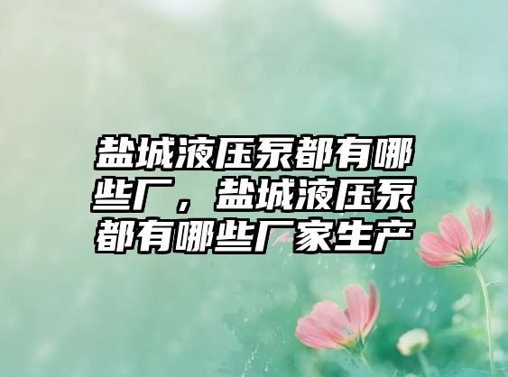 鹽城液壓泵都有哪些廠，鹽城液壓泵都有哪些廠家生產(chǎn)