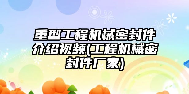 重型工程機械密封件介紹視頻(工程機械密封件廠家)