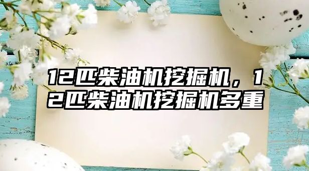 12匹柴油機挖掘機，12匹柴油機挖掘機多重