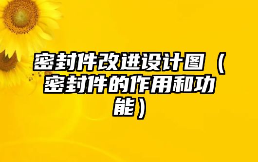 密封件改進設(shè)計圖（密封件的作用和功能）