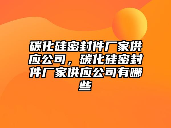 碳化硅密封件廠家供應公司，碳化硅密封件廠家供應公司有哪些