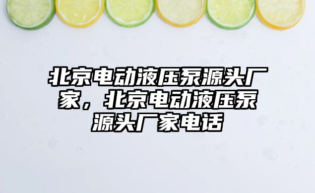 北京電動液壓泵源頭廠家，北京電動液壓泵源頭廠家電話