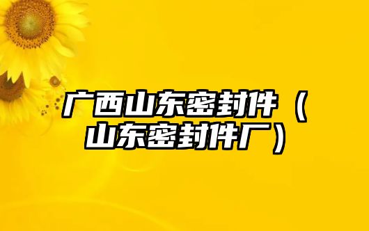 廣西山東密封件（山東密封件廠）