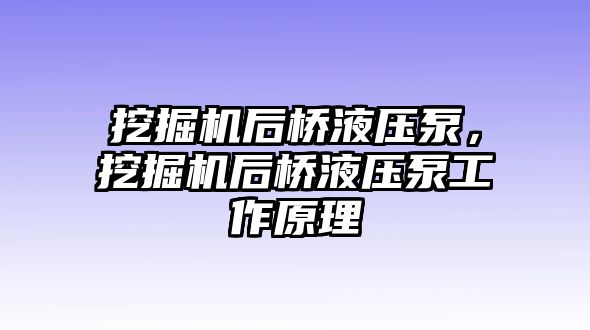 挖掘機(jī)后橋液壓泵，挖掘機(jī)后橋液壓泵工作原理