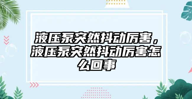 液壓泵突然抖動厲害，液壓泵突然抖動厲害怎么回事