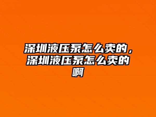 深圳液壓泵怎么賣的，深圳液壓泵怎么賣的啊