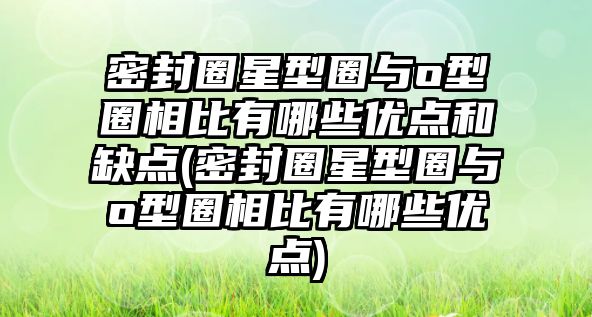 密封圈星型圈與o型圈相比有哪些優(yōu)點(diǎn)和缺點(diǎn)(密封圈星型圈與o型圈相比有哪些優(yōu)點(diǎn))