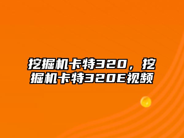 挖掘機(jī)卡特320，挖掘機(jī)卡特320E視頻