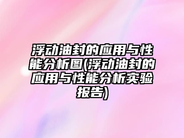 浮動油封的應用與性能分析圖(浮動油封的應用與性能分析實驗報告)