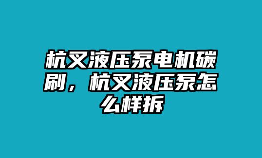 杭叉液壓泵電機碳刷，杭叉液壓泵怎么樣拆