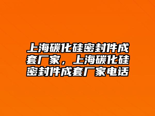 上海碳化硅密封件成套廠家，上海碳化硅密封件成套廠家電話