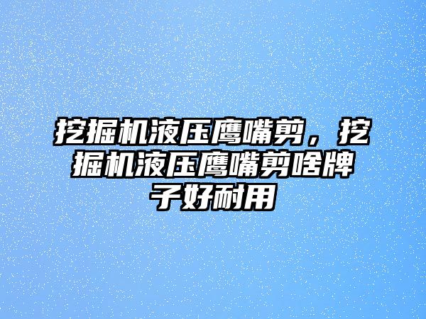 挖掘機(jī)液壓鷹嘴剪，挖掘機(jī)液壓鷹嘴剪啥牌子好耐用