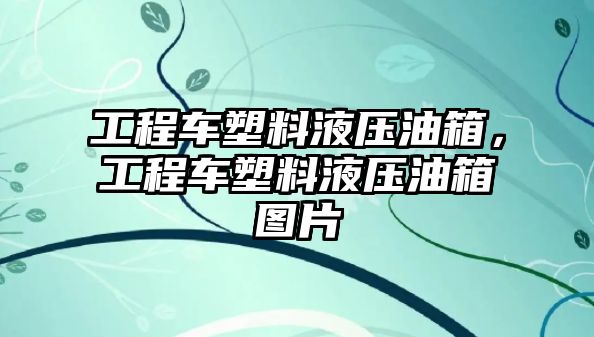 工程車塑料液壓油箱，工程車塑料液壓油箱圖片