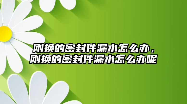 剛換的密封件漏水怎么辦，剛換的密封件漏水怎么辦呢