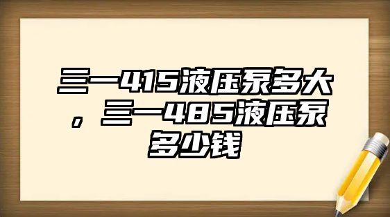 三一415液壓泵多大，三一485液壓泵多少錢