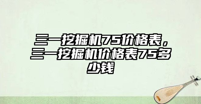 三一挖掘機75價格表，三一挖掘機價格表75多少錢