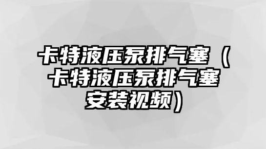 卡特液壓泵排氣塞（卡特液壓泵排氣塞安裝視頻）