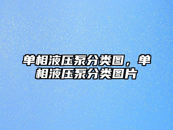 單相液壓泵分類圖，單相液壓泵分類圖片