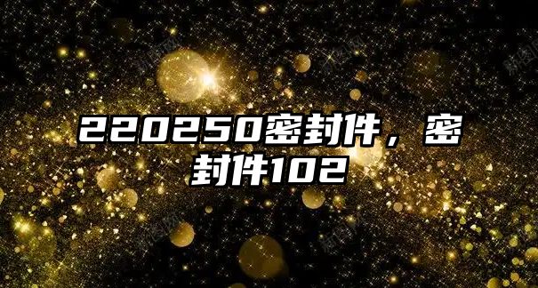 220250密封件，密封件102