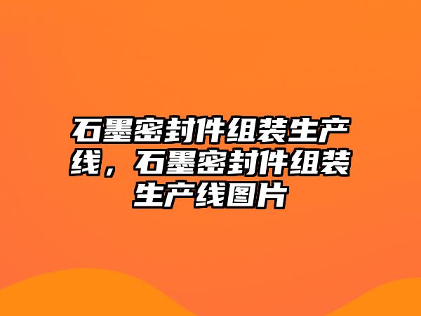 石墨密封件組裝生產(chǎn)線，石墨密封件組裝生產(chǎn)線圖片