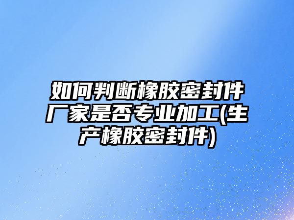 如何判斷橡膠密封件廠家是否專業(yè)加工(生產(chǎn)橡膠密封件)