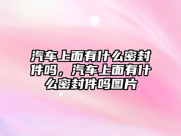 汽車上面有什么密封件嗎，汽車上面有什么密封件嗎圖片