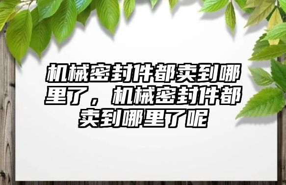 機械密封件都賣到哪里了，機械密封件都賣到哪里了呢