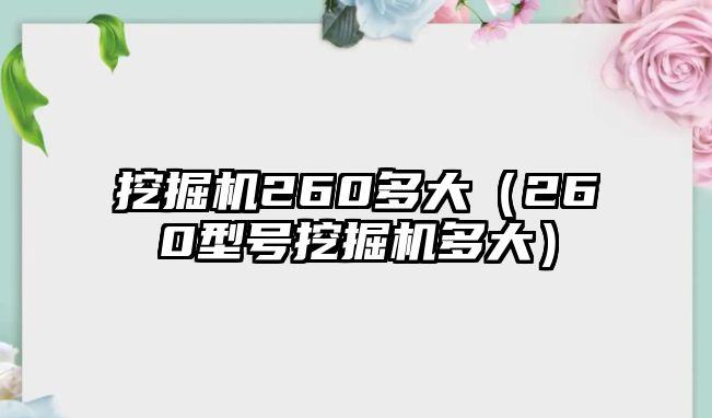 挖掘機260多大（260型號挖掘機多大）